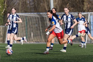 Bild 218 - wBJ Hamburger SV - Hertha BSC : Ergebnis: 2:1